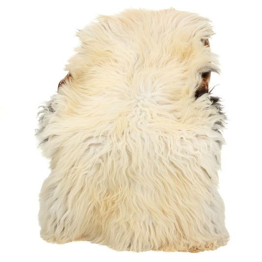 Large Coarse Long Thick Wool Dark Ivory White w Black Heidschnucke Sheepskin