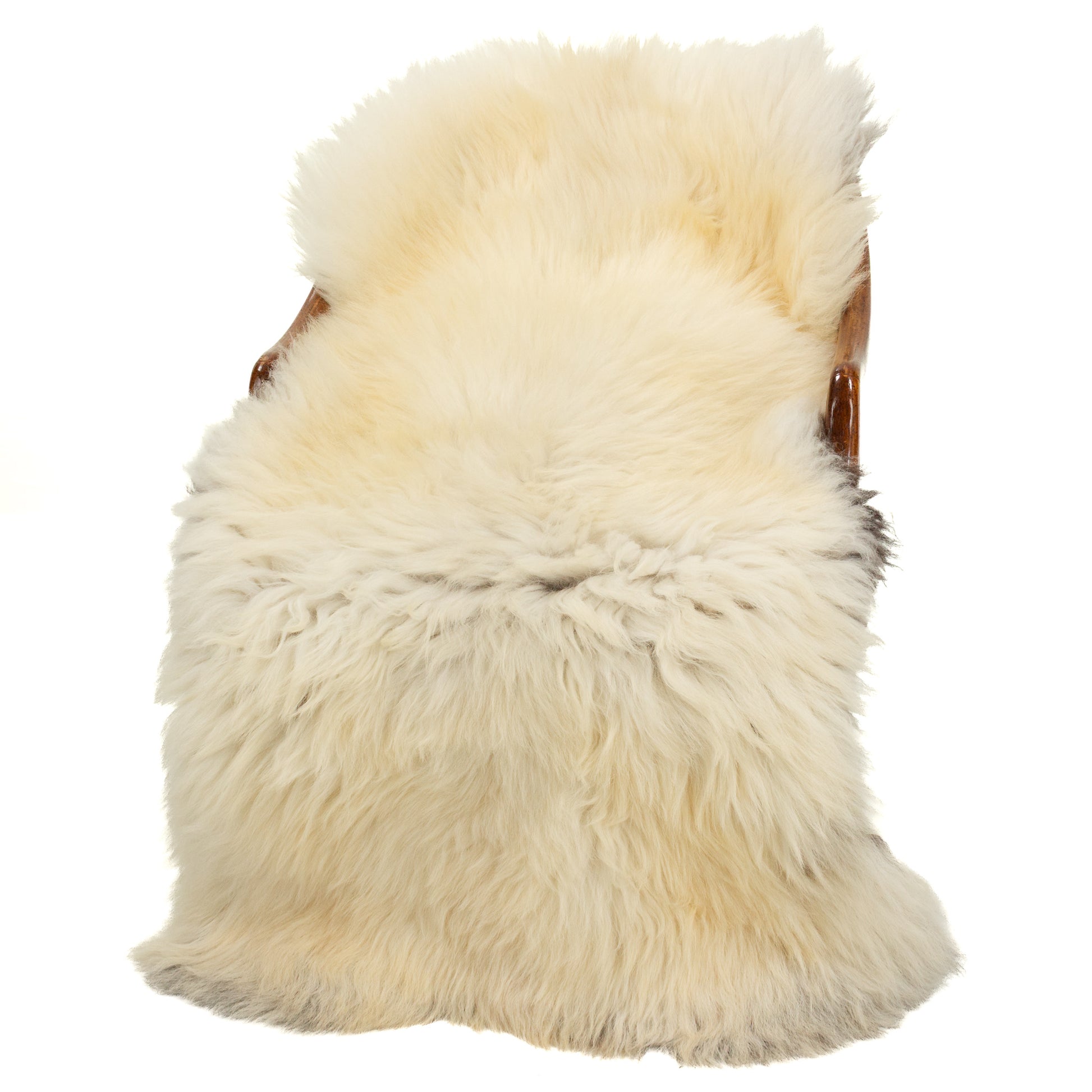Large Coarse Thick Wool Ivory White w Some Black Heidschnucke Sheepskin