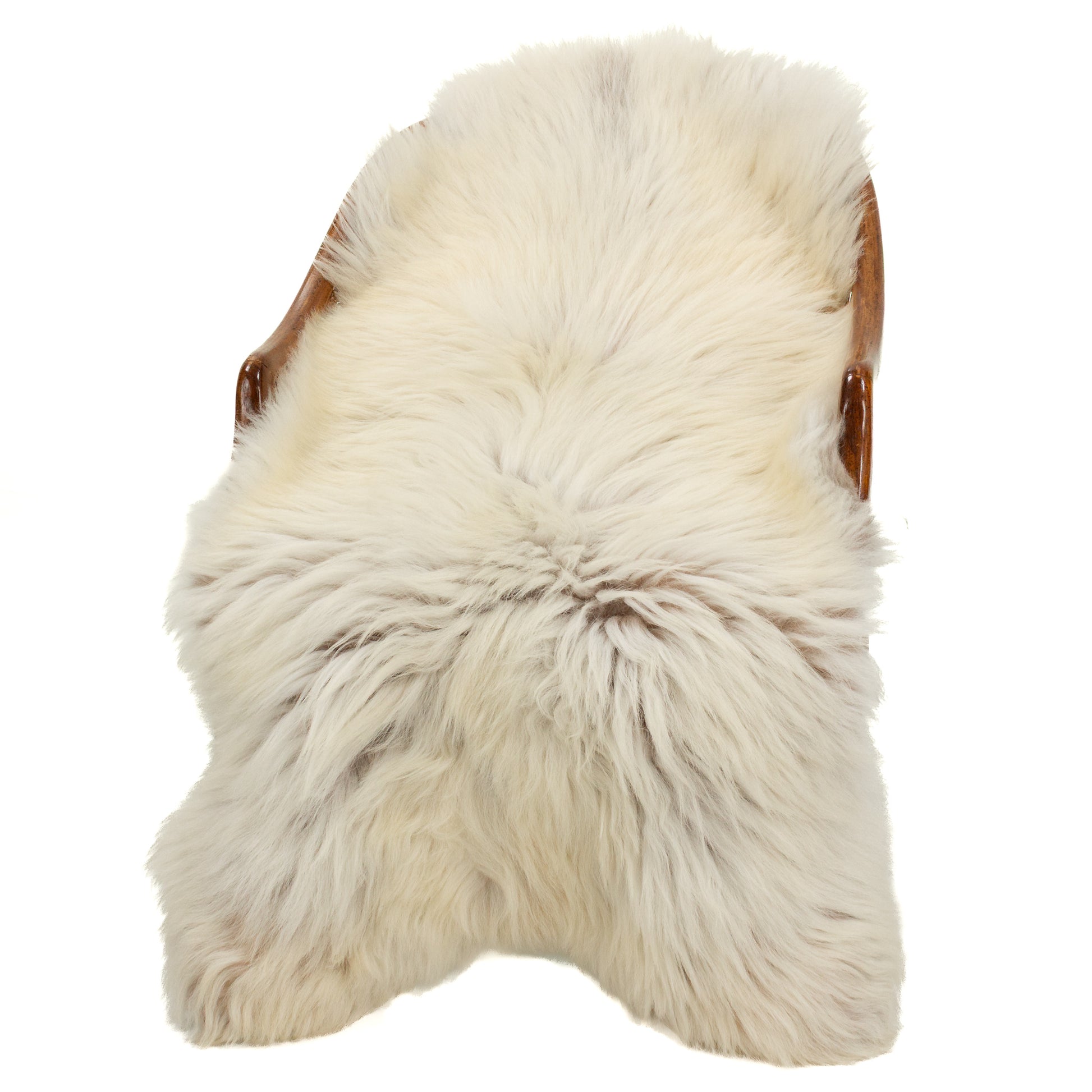 Large Coarse Thick Wool Ivory White w Dark Heidschnucke Sheepskin