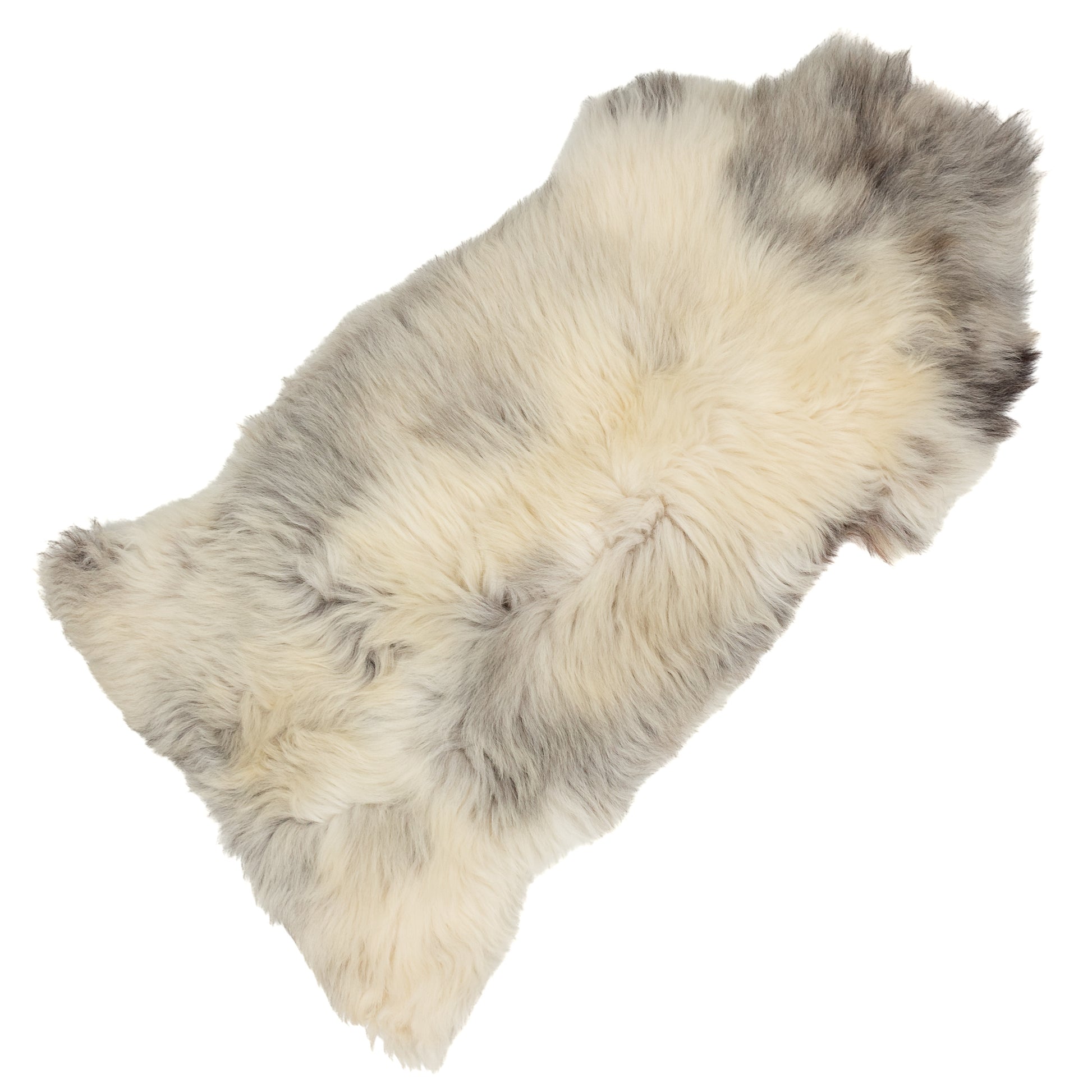 Large Coarse Thick Wool Ivory White w Gray Heidschnucke Sheepskin Rug