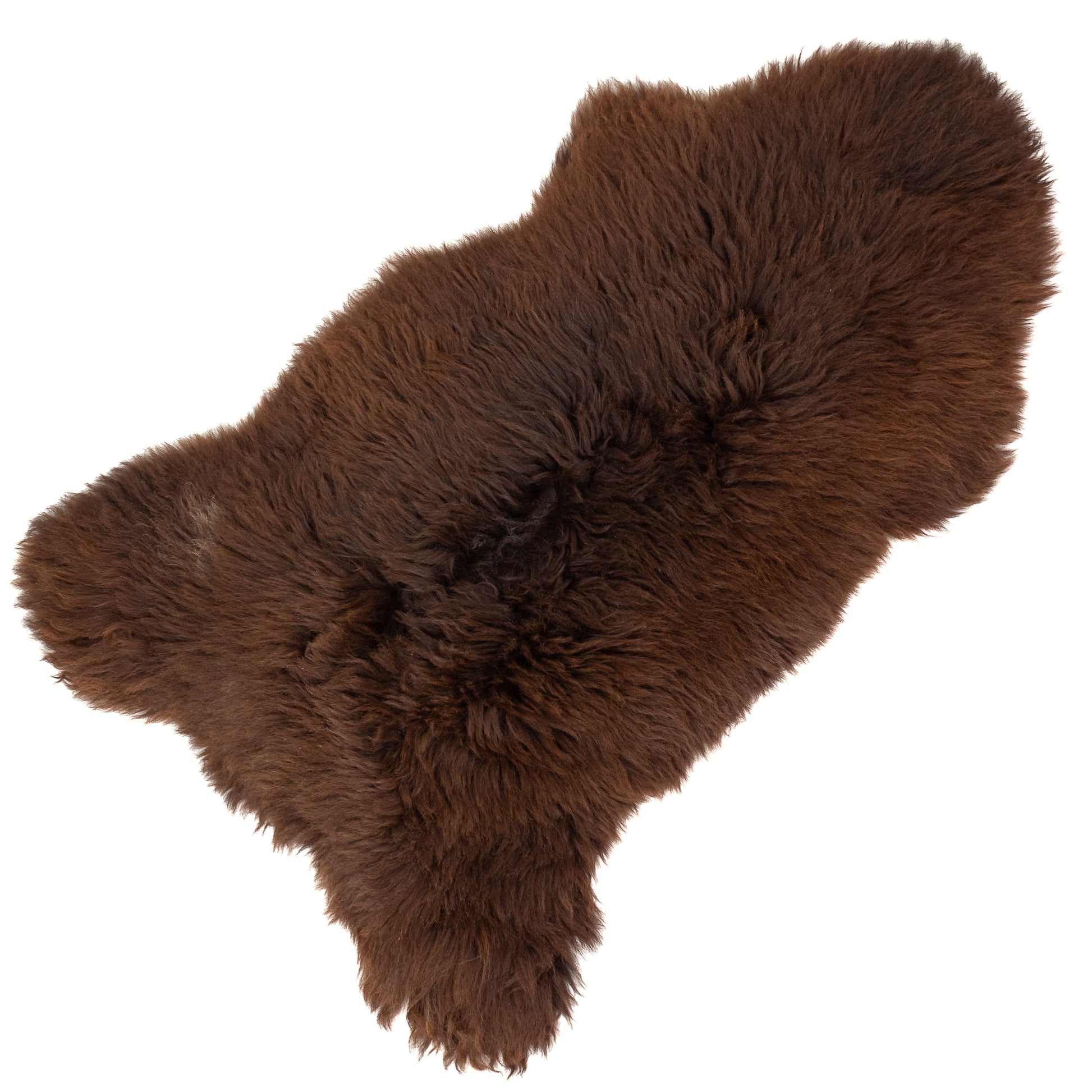 Large Course Long Wool Dark Brown Heidschnucke Sheepskin Rug
