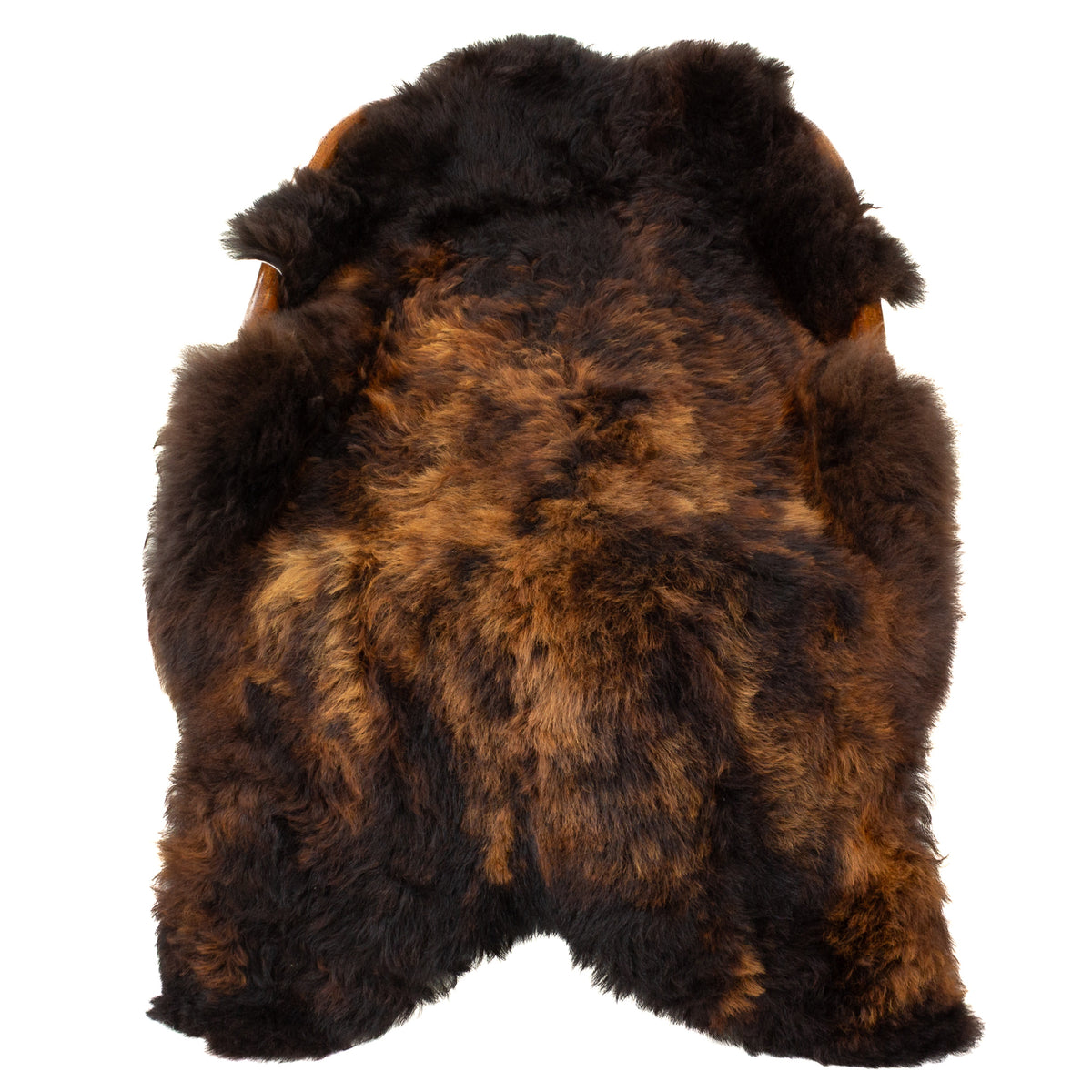 Large Shorn Fleece Black Lighted to Auburn Icelandic Sheepskin
