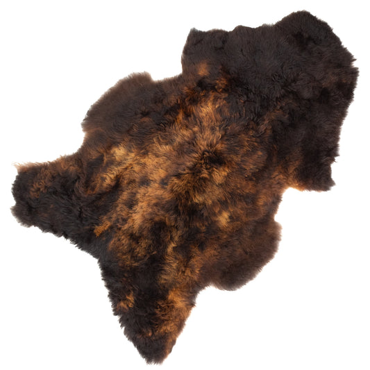 Large Shorn Fleece Black Lighted to Auburn Icelandic Sheepskin Rug
