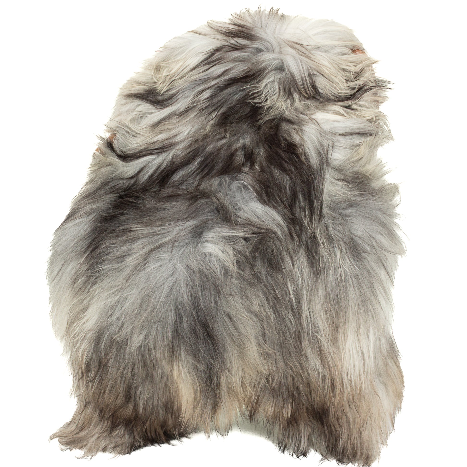 Large Gray w Black Icelandic Sheepskin