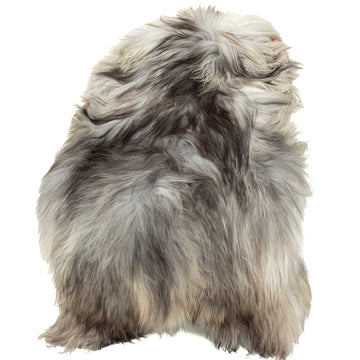 Large Gray w Black Icelandic Sheepskin
