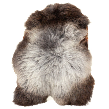 Large Long Wool Gray with Dark Brown Sheepskin