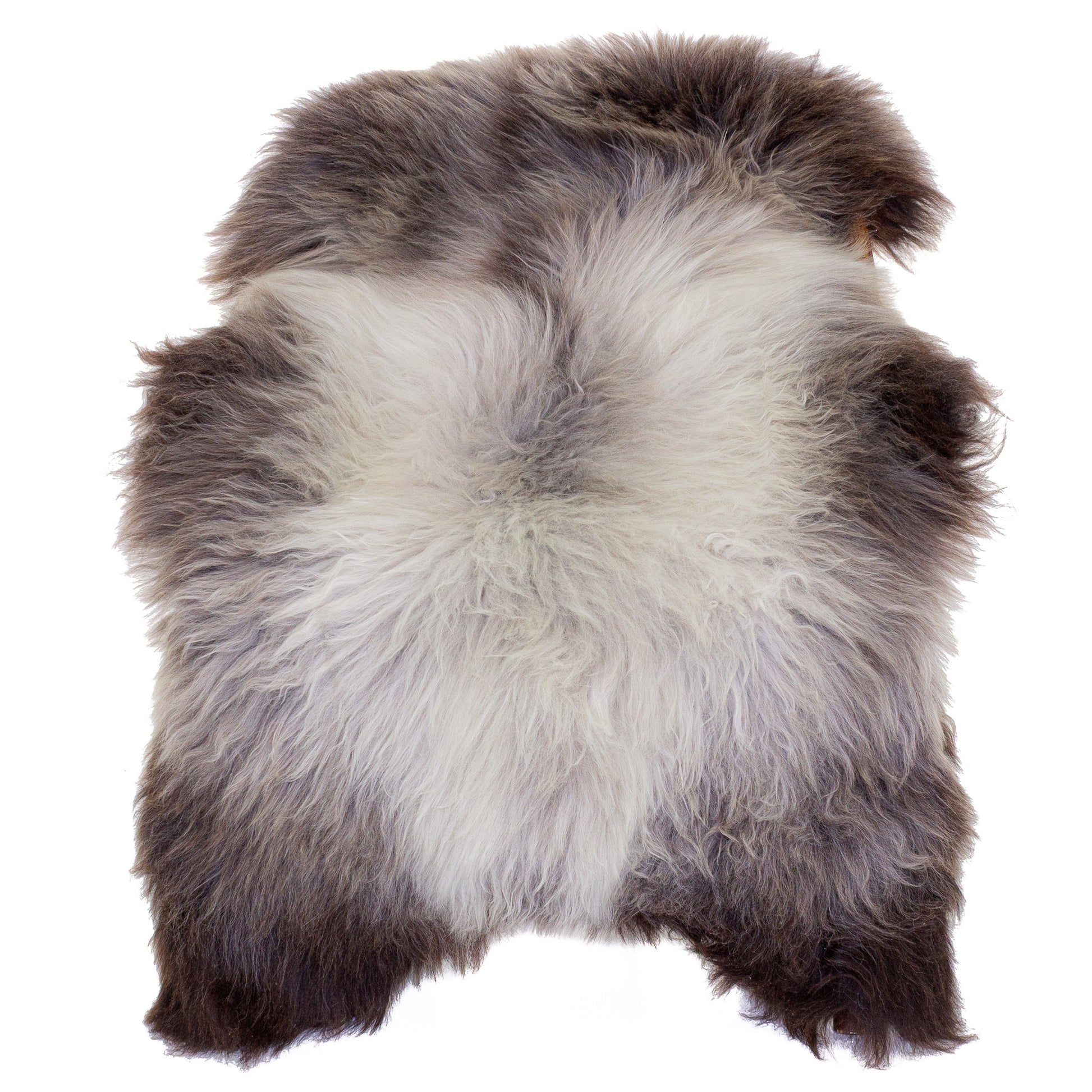 Large Long Wool Silver Gray to Dark Sheepskin