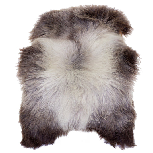 Large Long Wool Silver Gray to Dark Sheepskin