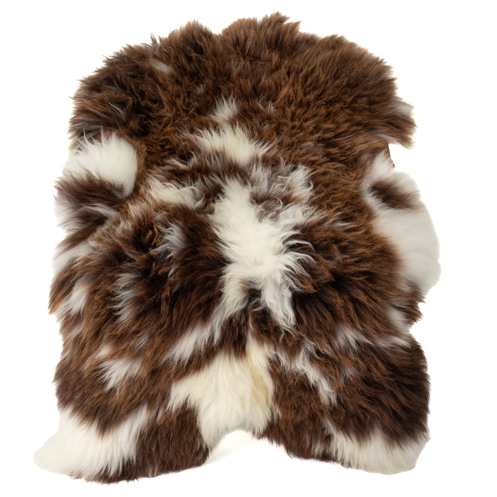 Large Long Wool Thick Brown w White Sheepskin