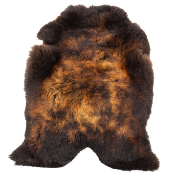 Large Shorn Fleece Black Lighted to Auburn Icelandic Sheepskin