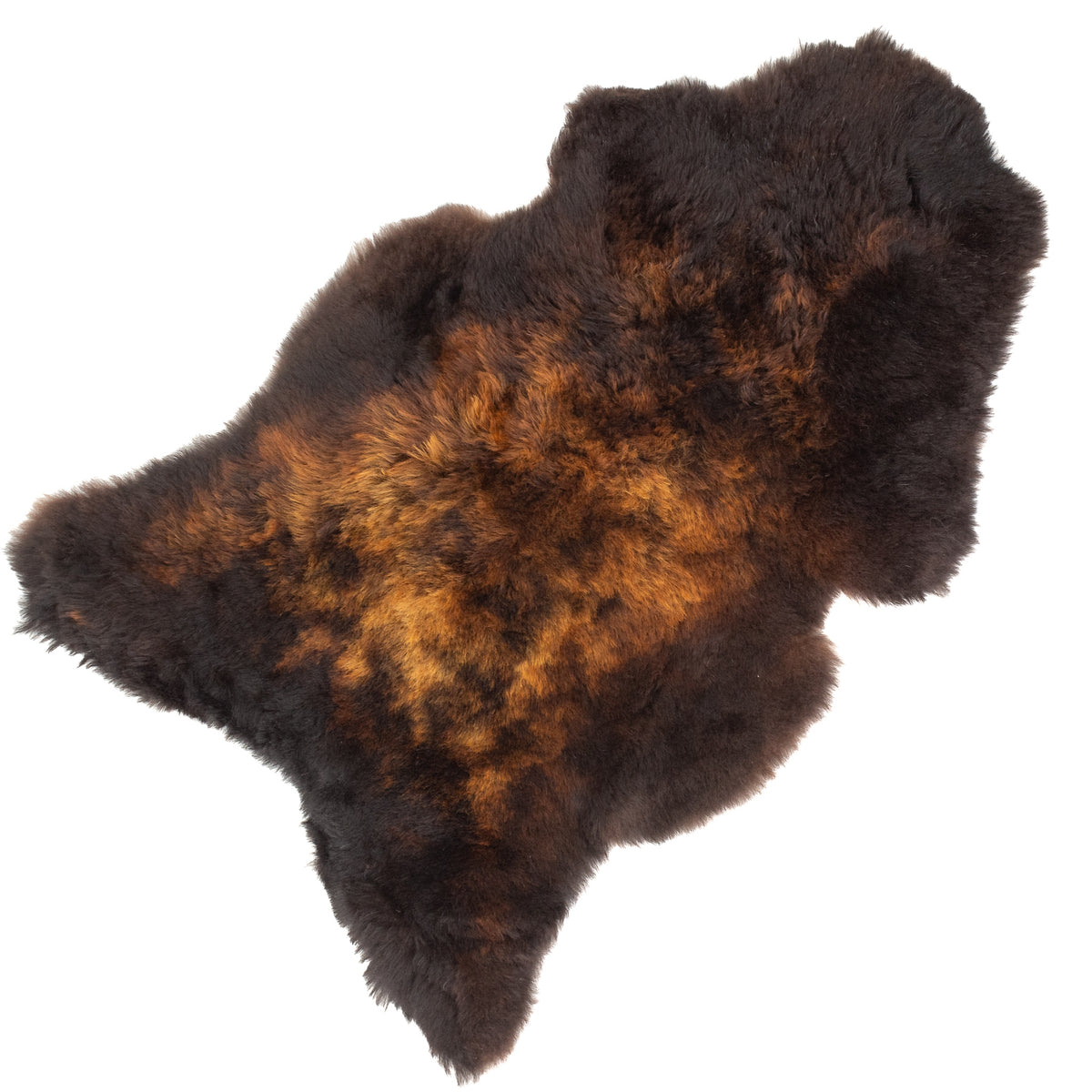 Large Shorn Fleece Black Lighted to Auburn Icelandic Sheepskin Rug