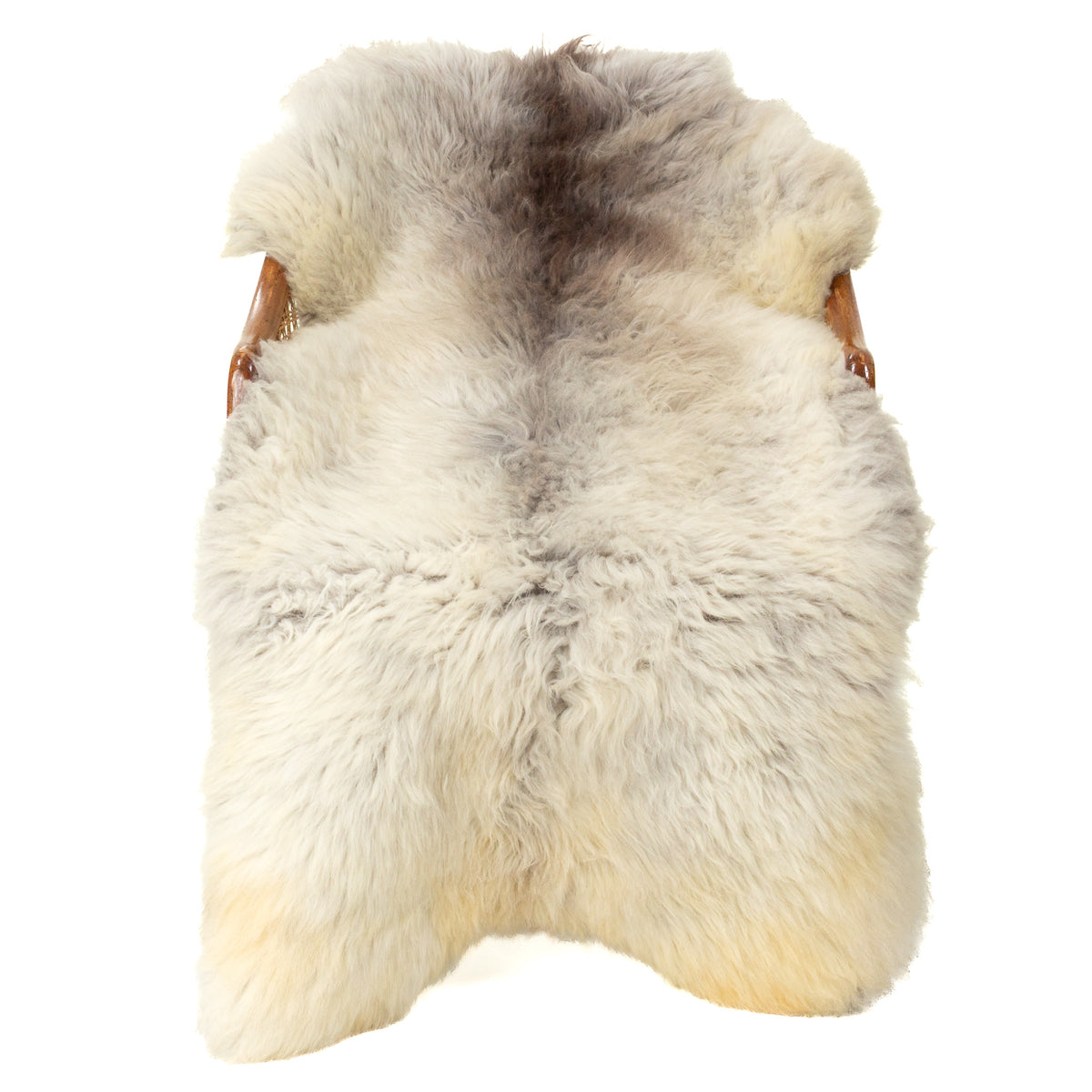 Large Short Wool Silver White w Dark Swedish Sheepskin