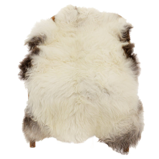 Large Silver White w Black Sheepskin