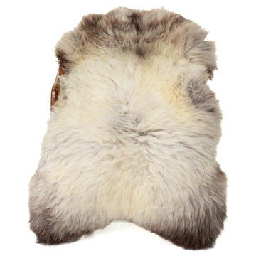 Large Thick Cushy Silver White w Brown Sheepskin
