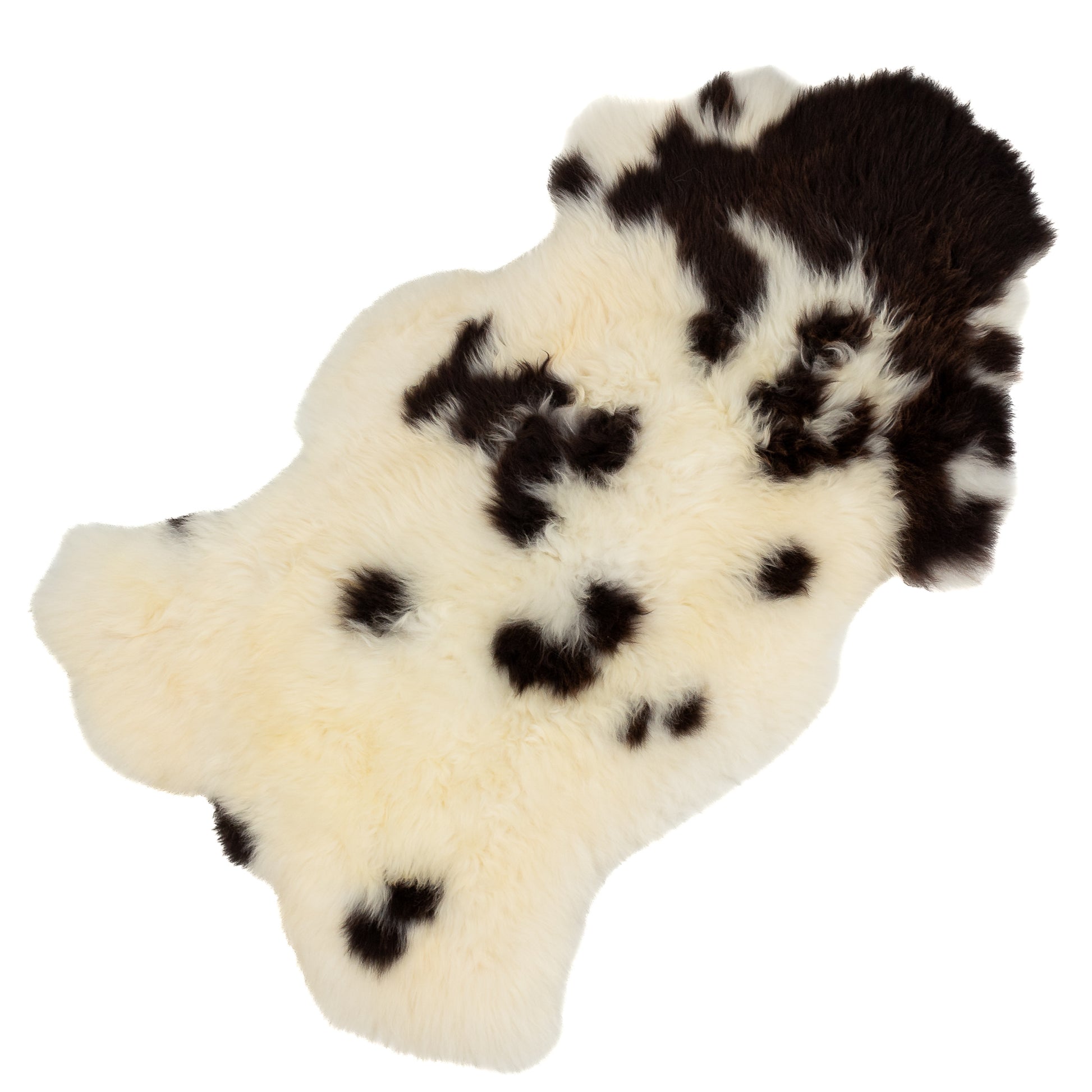 Large Thick Cushy Ivory White w Blackish Brown Spots Sheepskin Rug