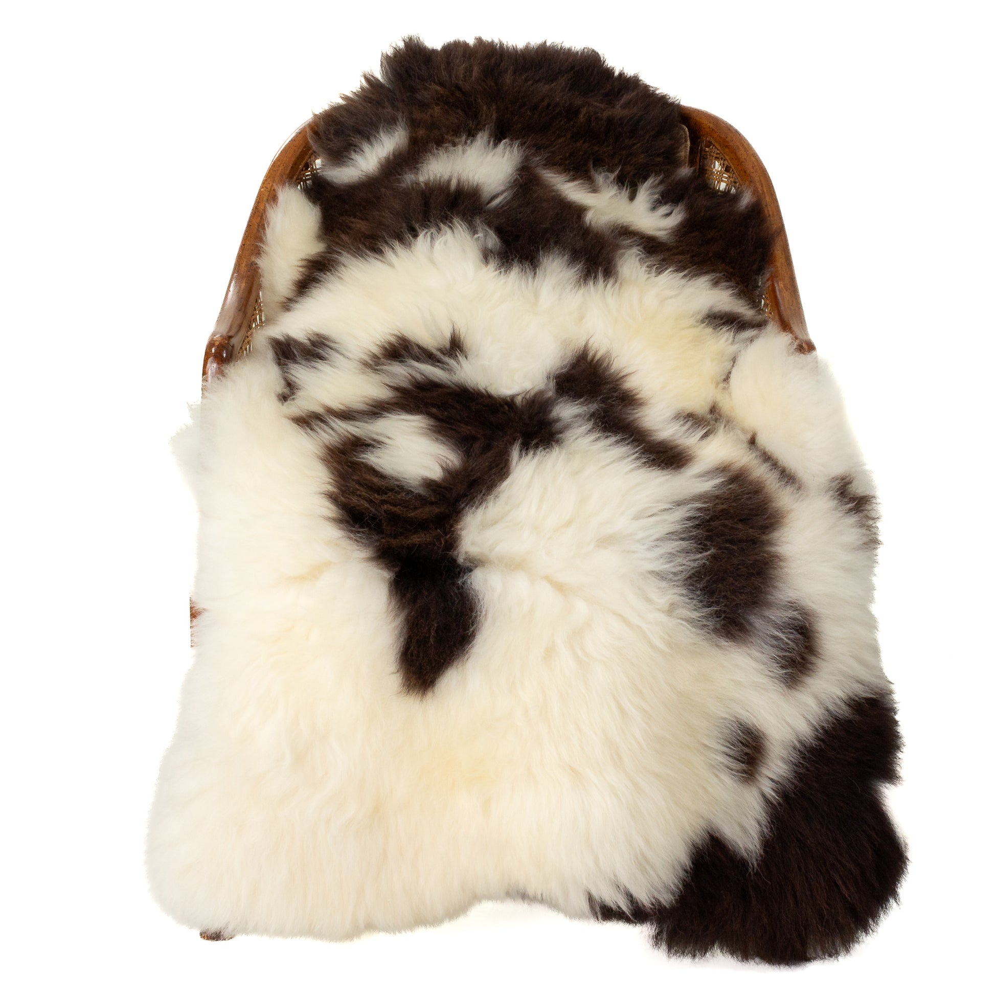 Large Thick Cushy Ivory White w Brown Spots Sheepskin