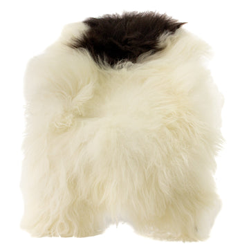 Large White w Black Piebald Icelandic Sheepskin