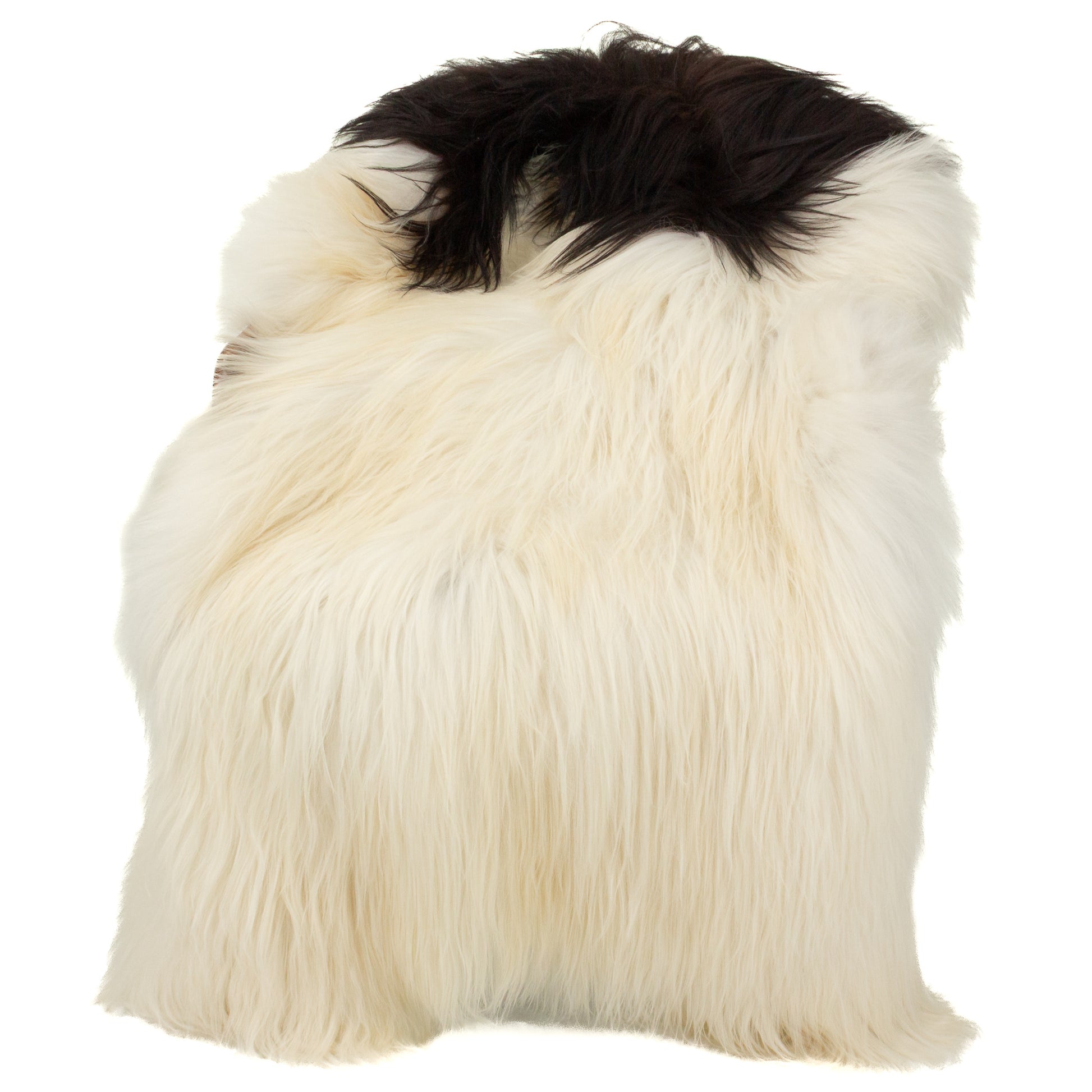 Large White w Black Piebald Icelandic Sheepskin