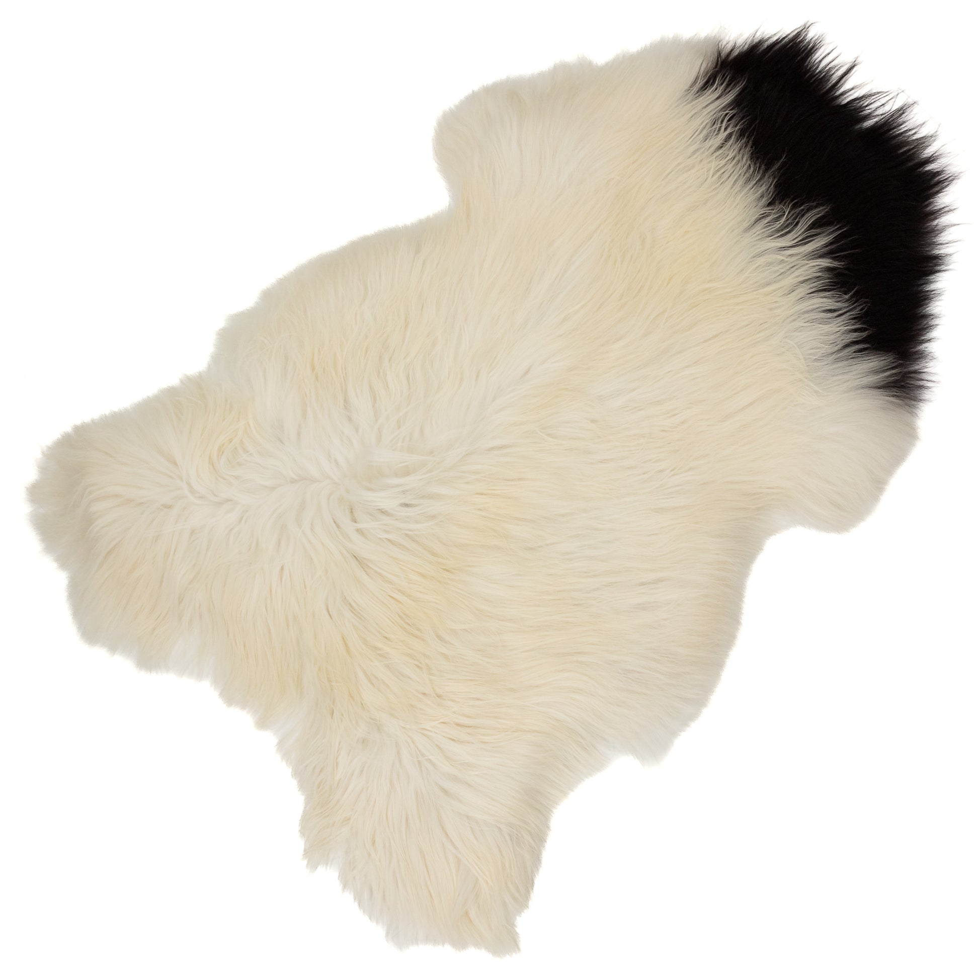 Large White w Black Piebald Icelandic Sheepskin Rug