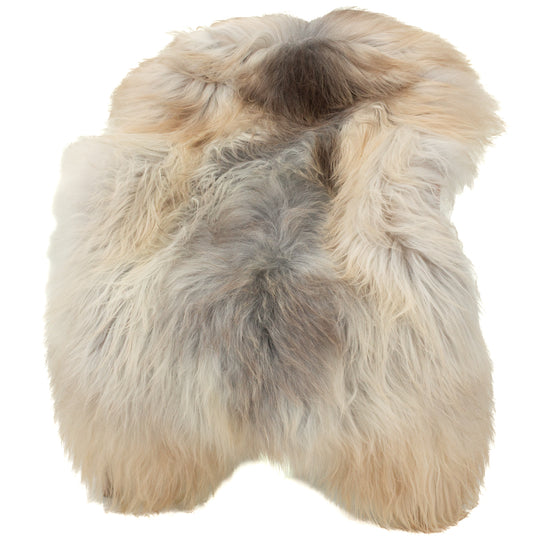 Large Ivory White Gray w Bronze Edges Icelandic Sheepskin