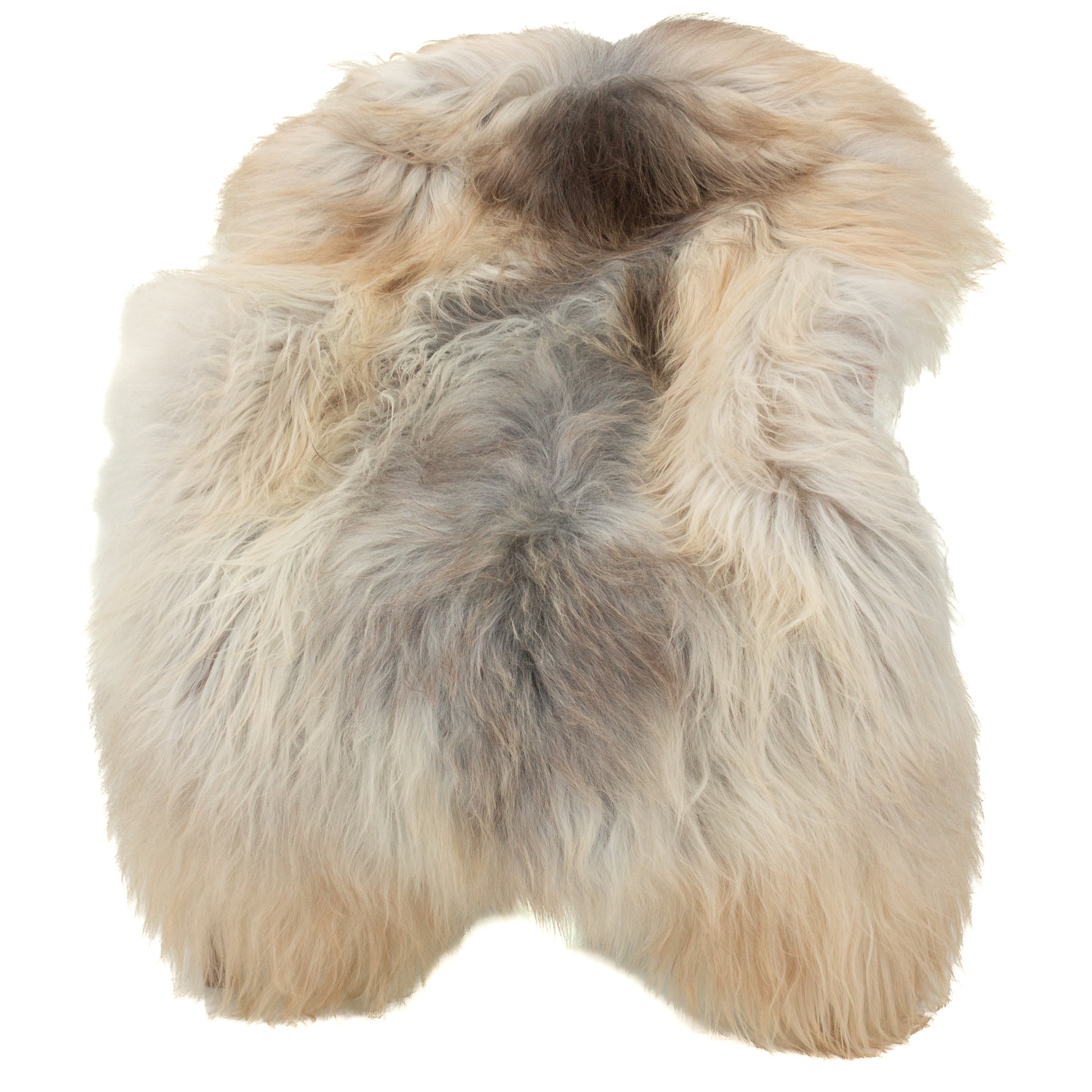 Large Ivory White Gray w Bronze Edges Icelandic Sheepskin