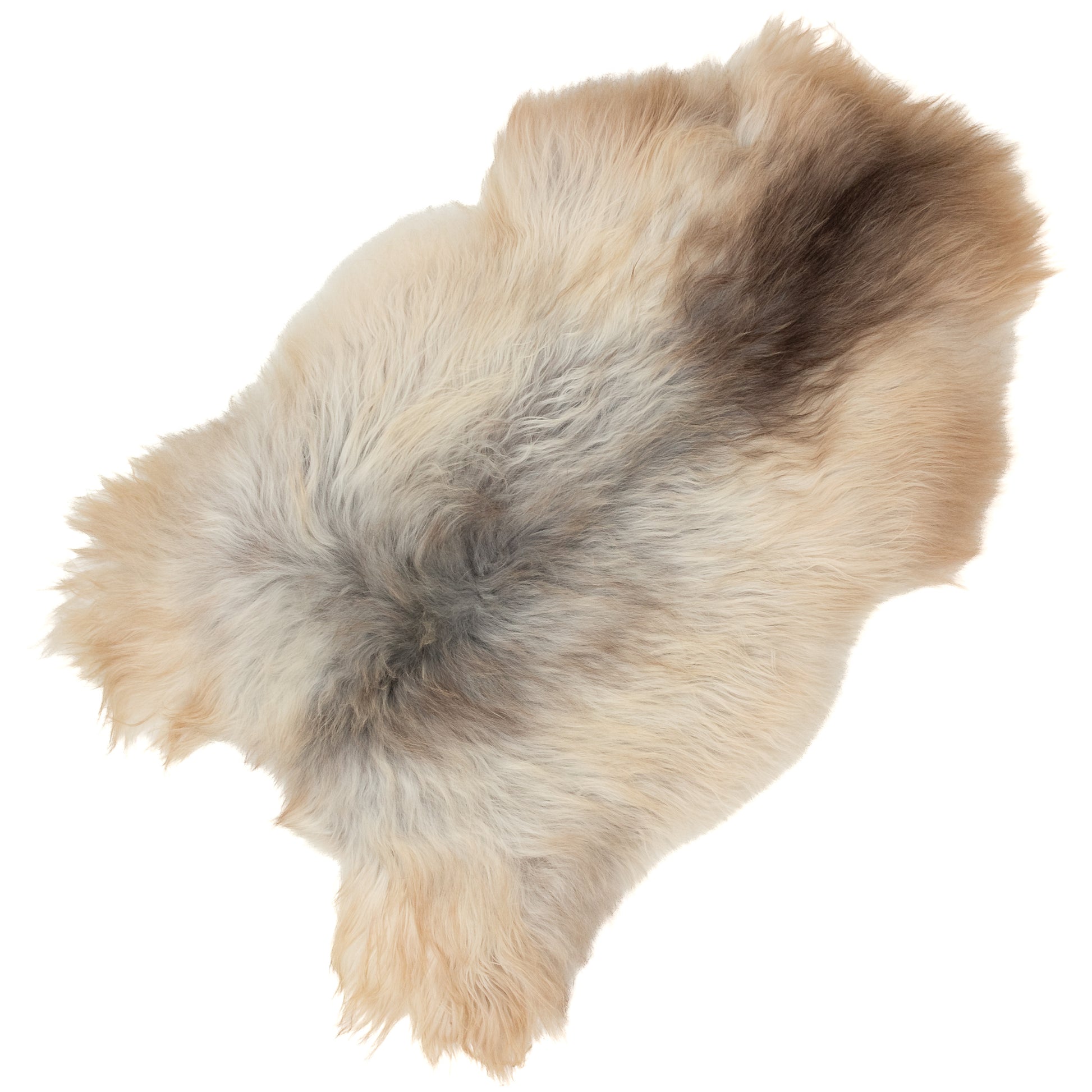 Large Ivory White Gray w Bronze Edges Icelandic Sheepskin Rug