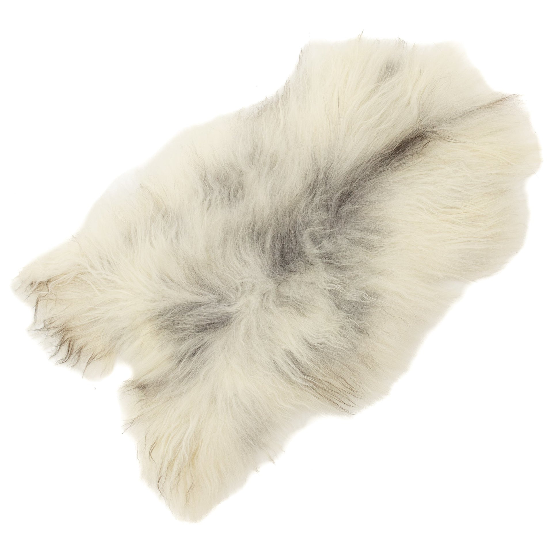 Large White w Gray Spotted Icelandic Sheepskin