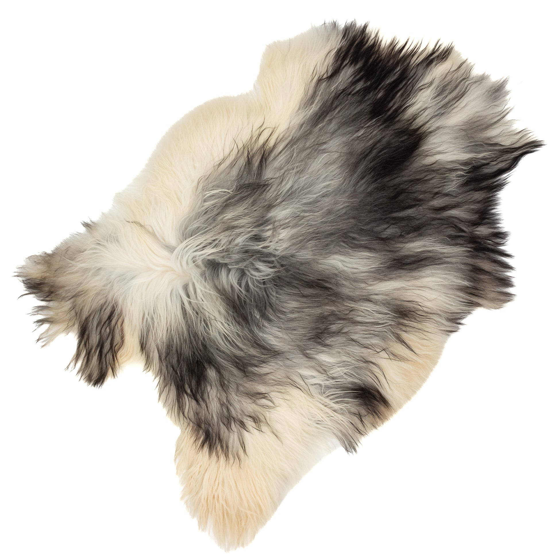 Large Wide Black Gray Ivory White Mix  Icelandic Sheepskin Rug