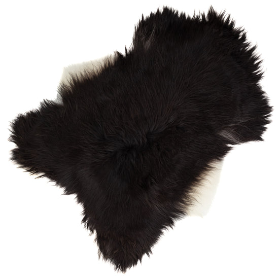 Large Wide Black w White Sides Icelandic Sheepskin Rug