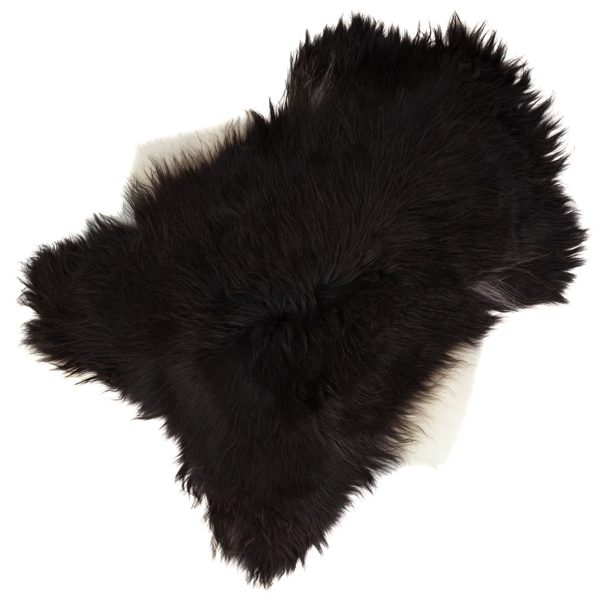 Large Wide Black w White Sides Icelandic Sheepskin Rug
