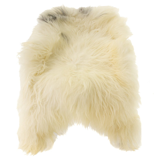 Large Wide Ivory White w Few Gray Spots Icelandic Sheepskin