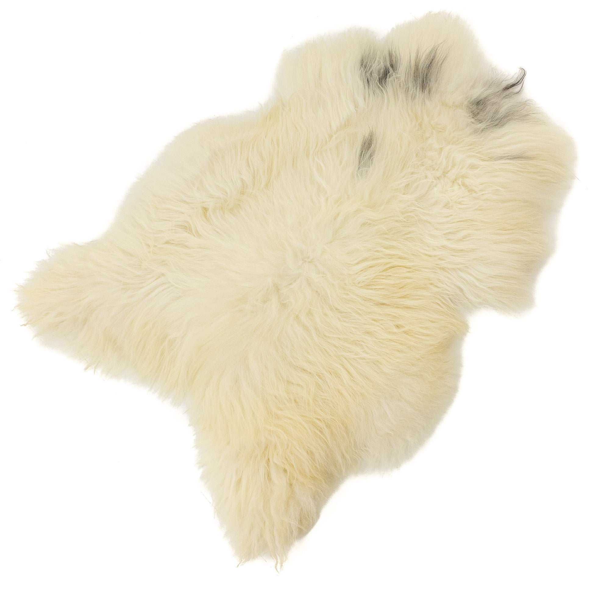 Large Wide Ivory White w Few Gray Spots Icelandic Sheepskin