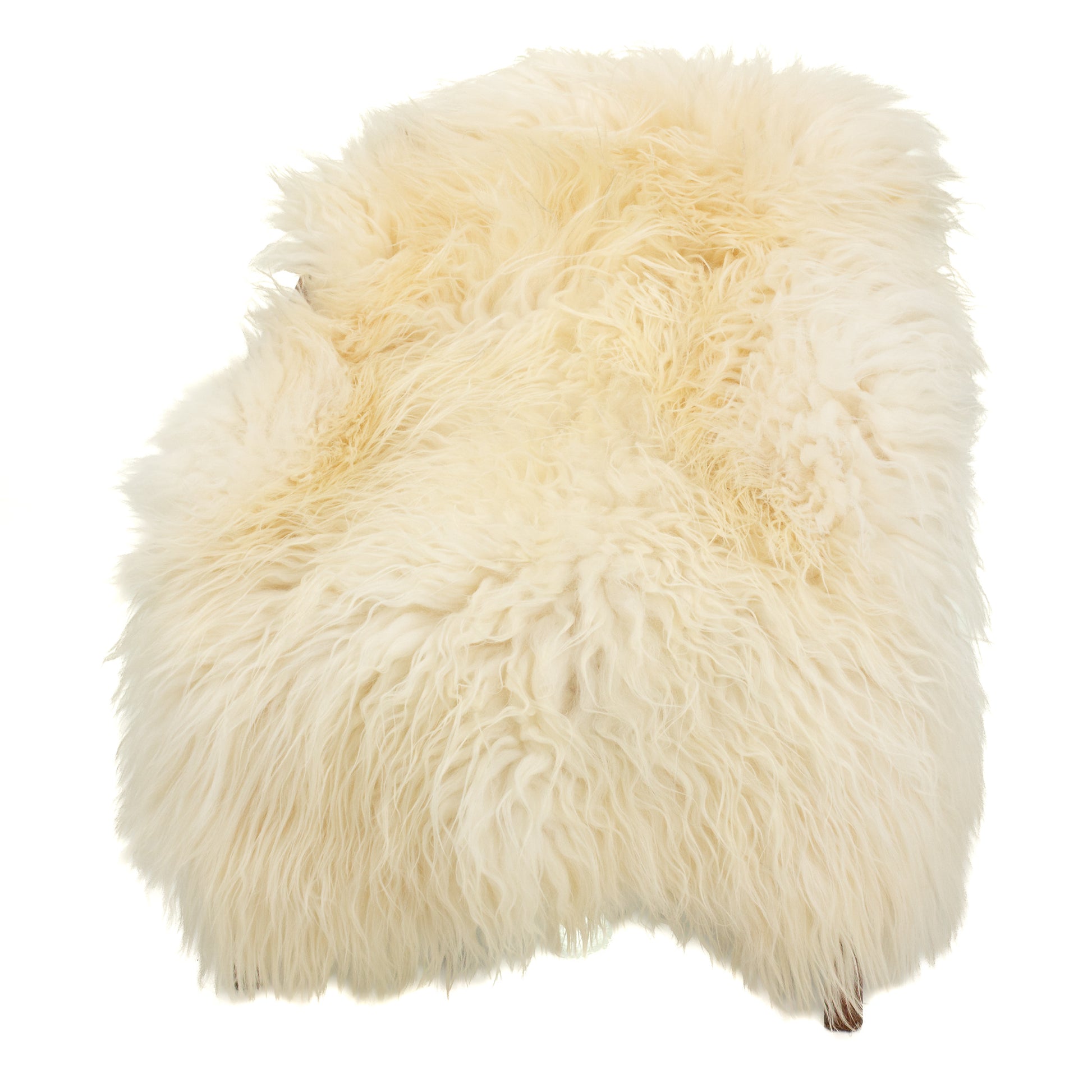 Large Long Coarse Wool Wide Ivory White Heidschnucke Sheepskin