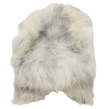 Large Wide White w Gray Icelandic Sheepskin
