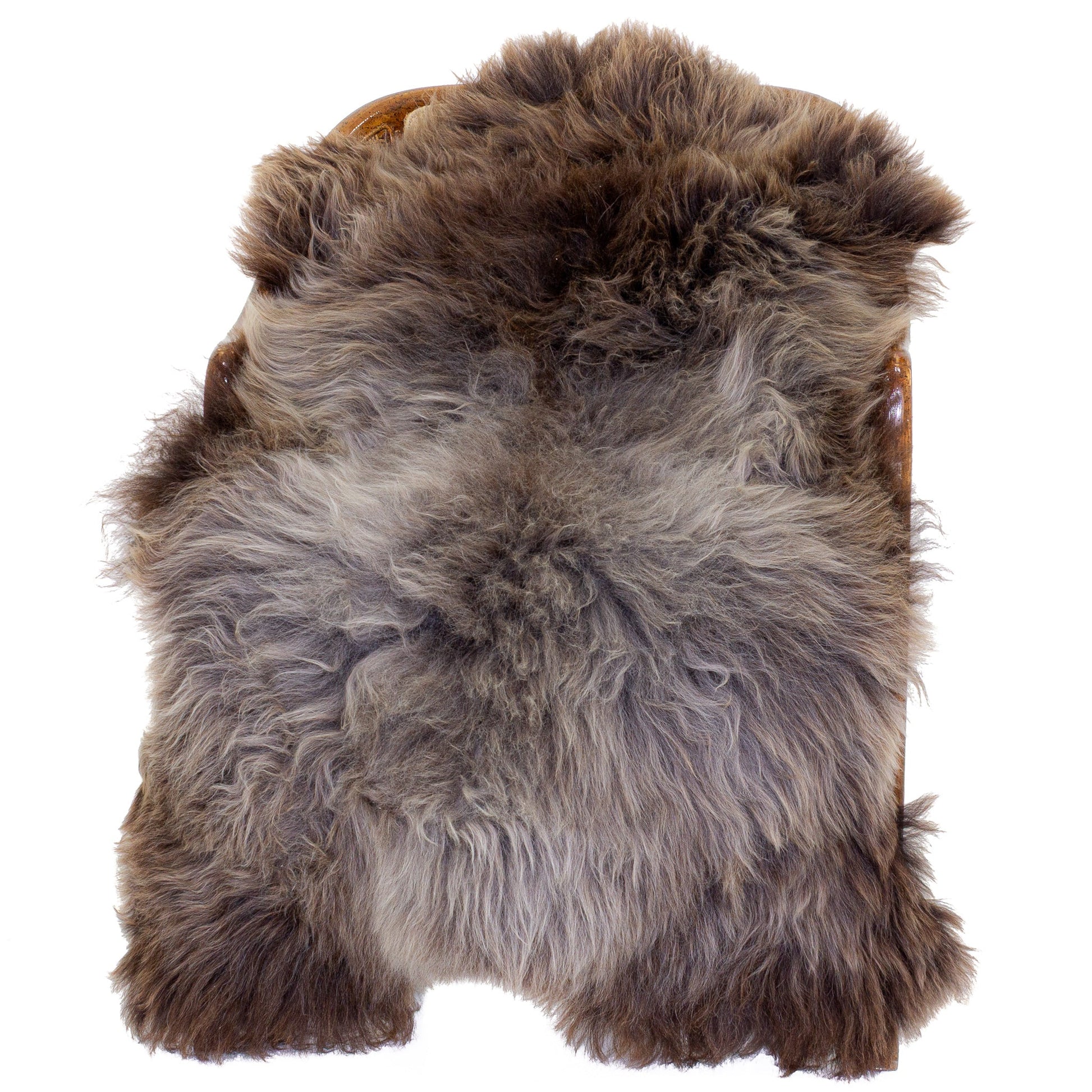 Long Wool Silver Gray w Brown Sheepskin