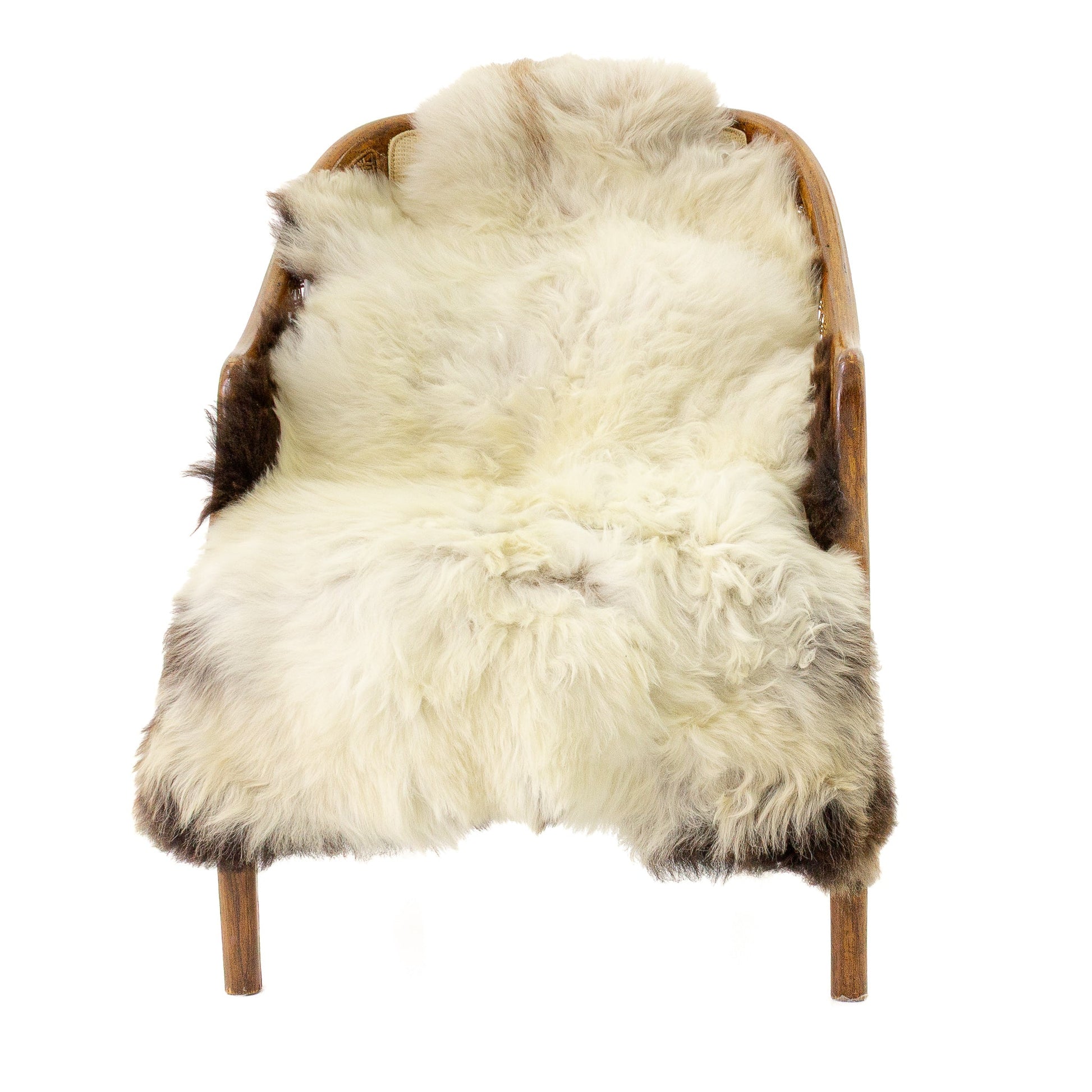 Long Wool White w Black Edges and Copper Streak Sheepskin
