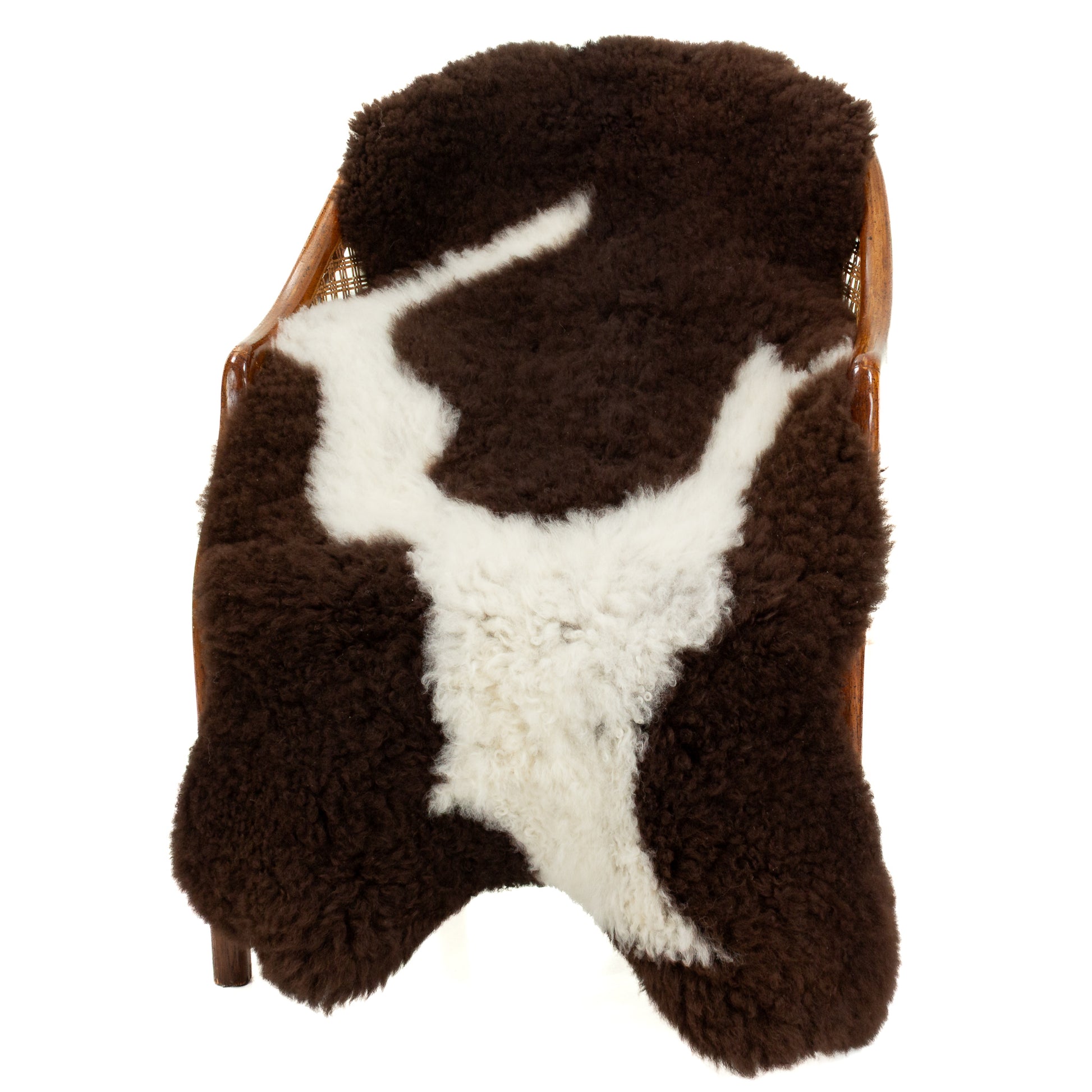 Short Soft Some Curls Dark Brown w White Swedish Sheepskin