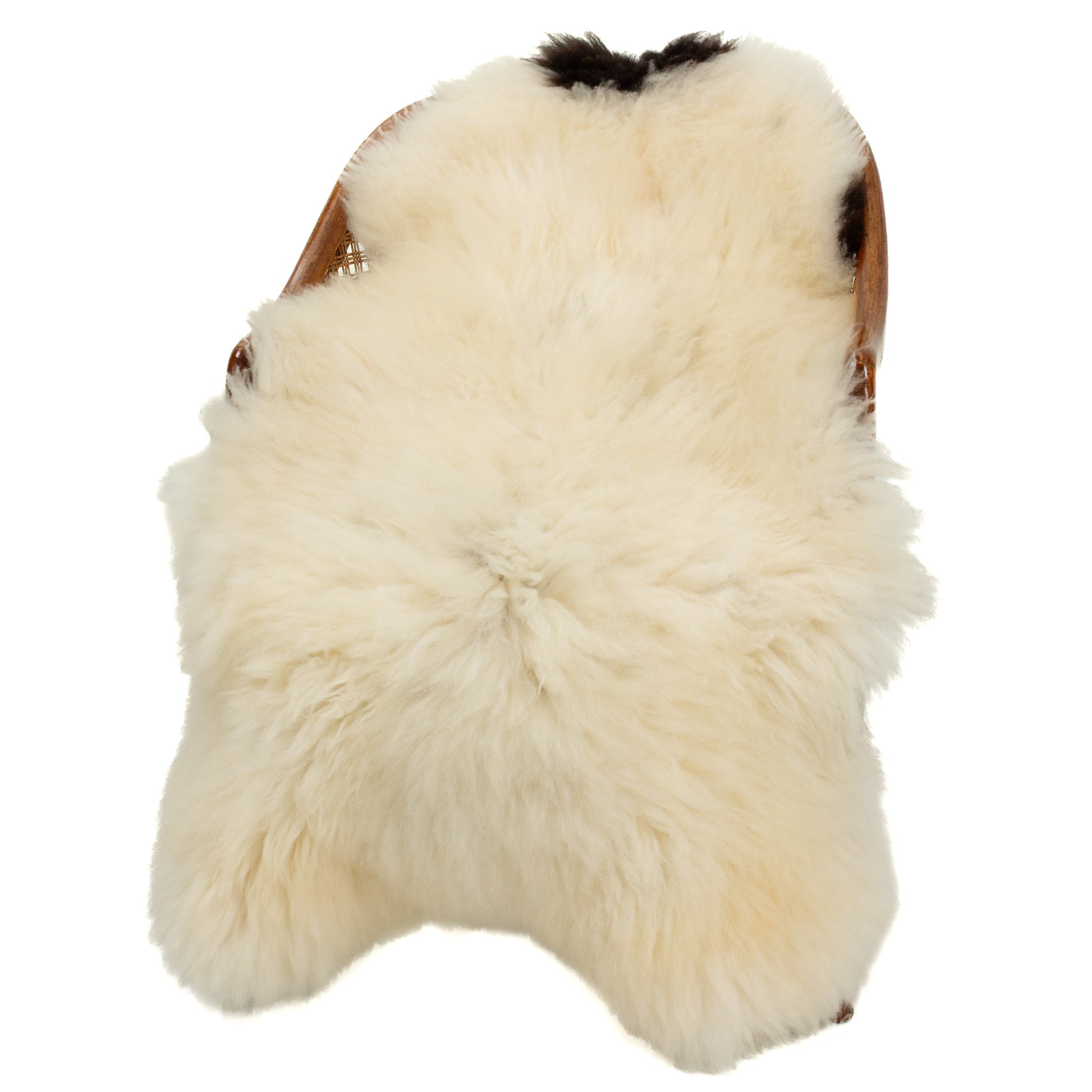 Short Soft Wool White w Black Swedish Sheepskin