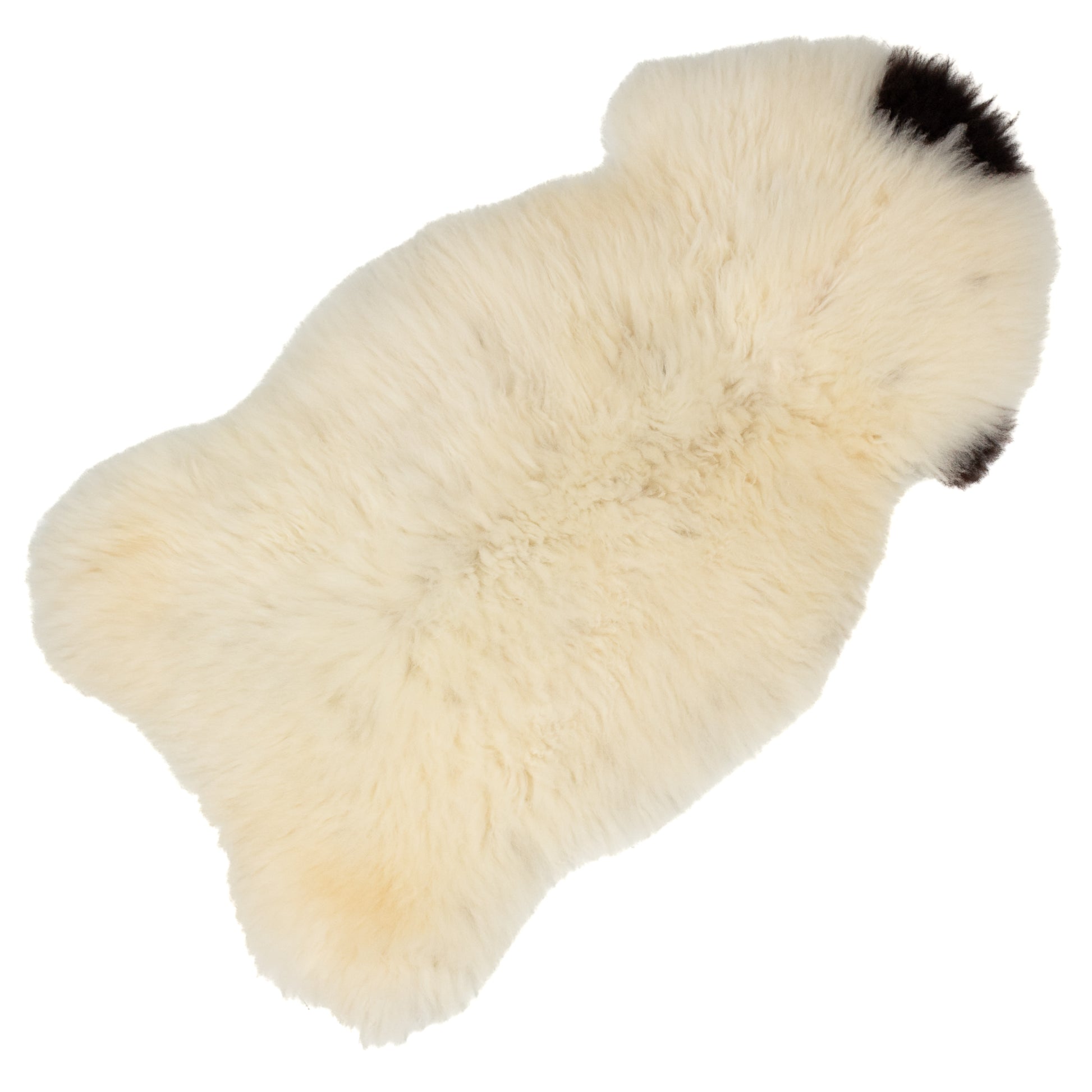 Short Soft Wool White w Black Swedish Sheepskin Rug