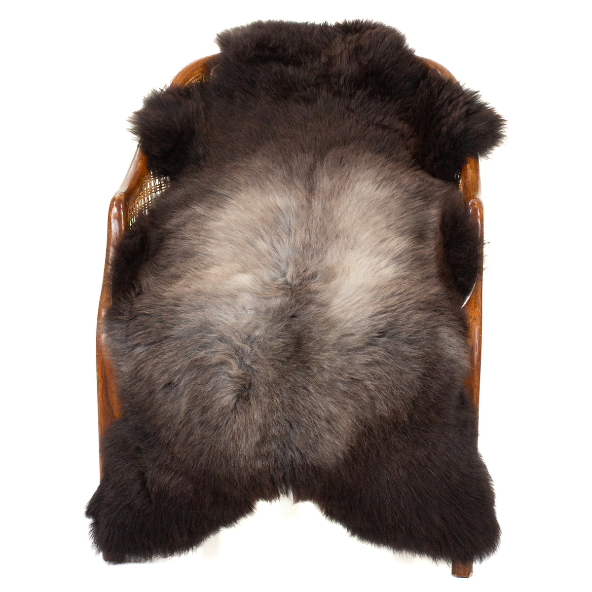 Short Soft Wool Blackish Brown w Gray Sheepskin