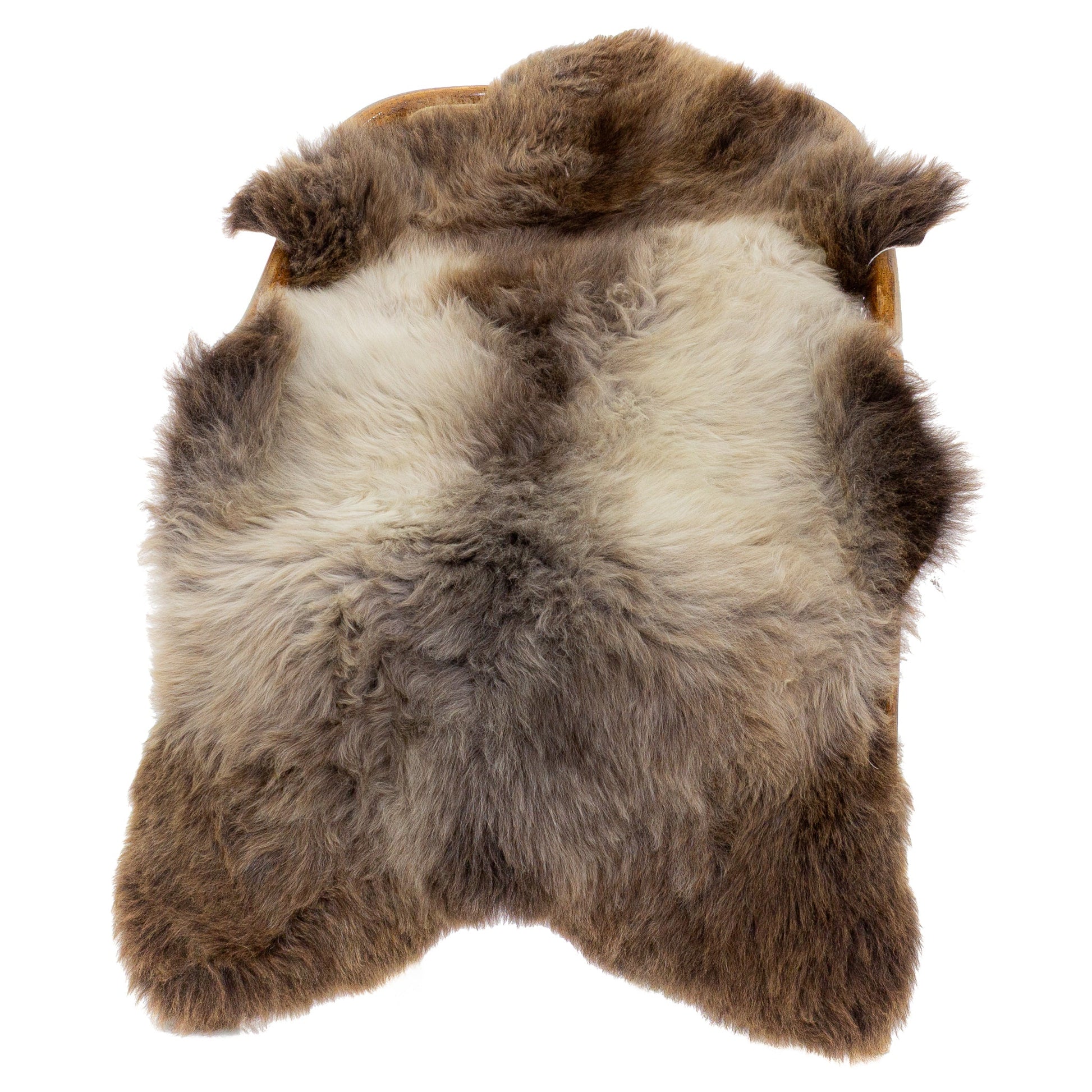 Short Wool Soft Silver and Gray w Brown Sheepskin
