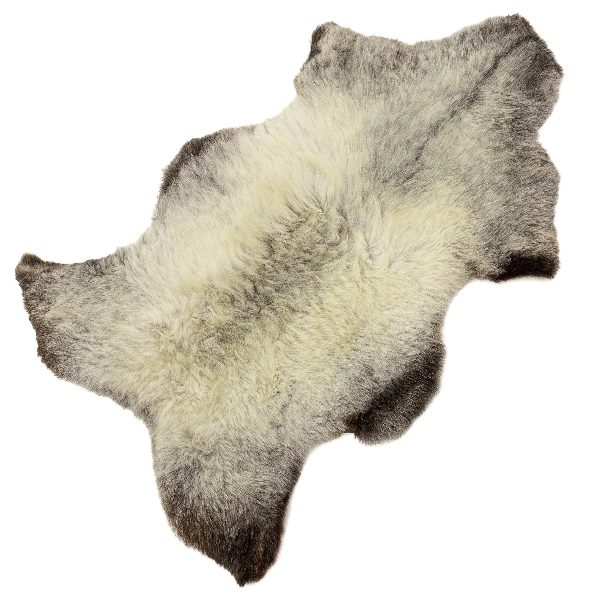 Short Wool White w Black Edges Sheepskin