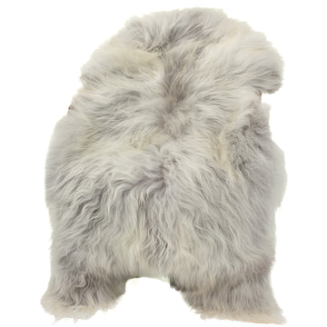 Silver White w Gray Icelandic Sheepskin