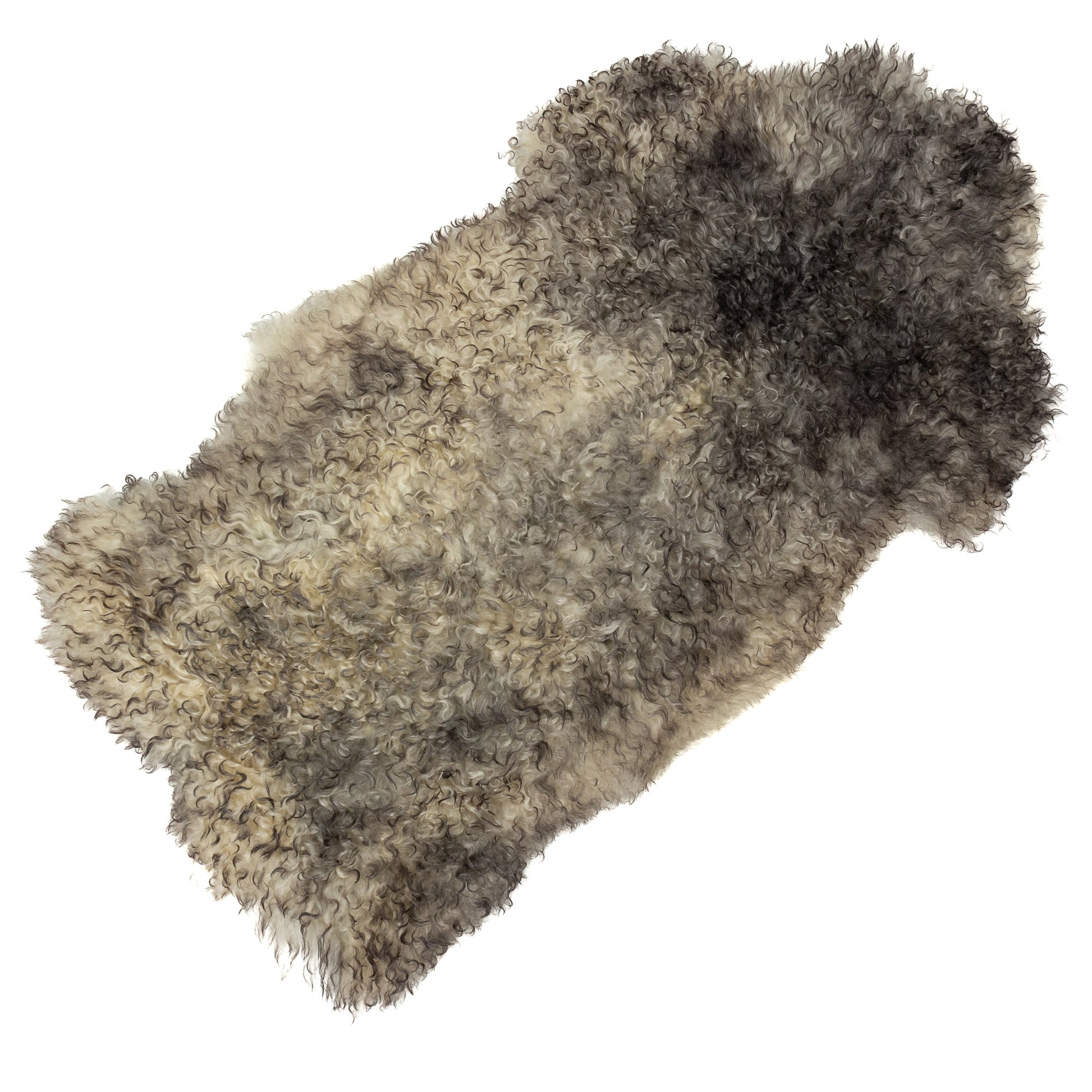 Soft Black and White Long Curls Gotland Sheepskin Rug