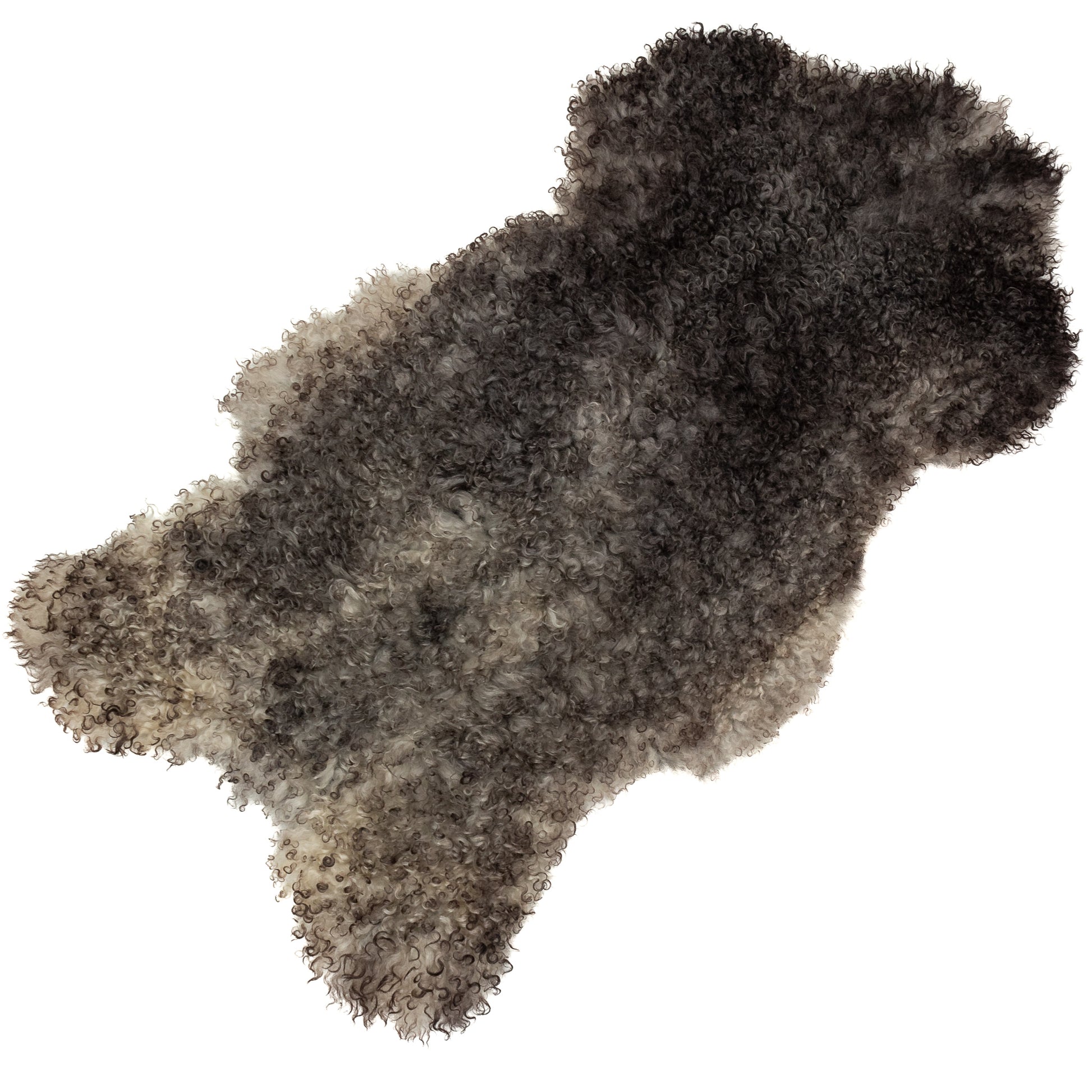 Soft Black and White Tight Curls Gotland Sheepskin Rug