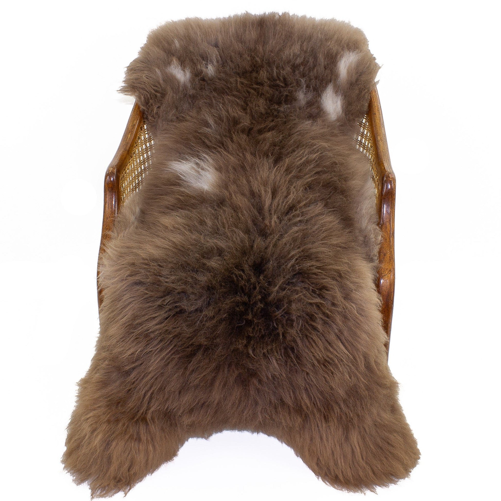 Large Soft Cushy Brown w White Swedish Sheepskin