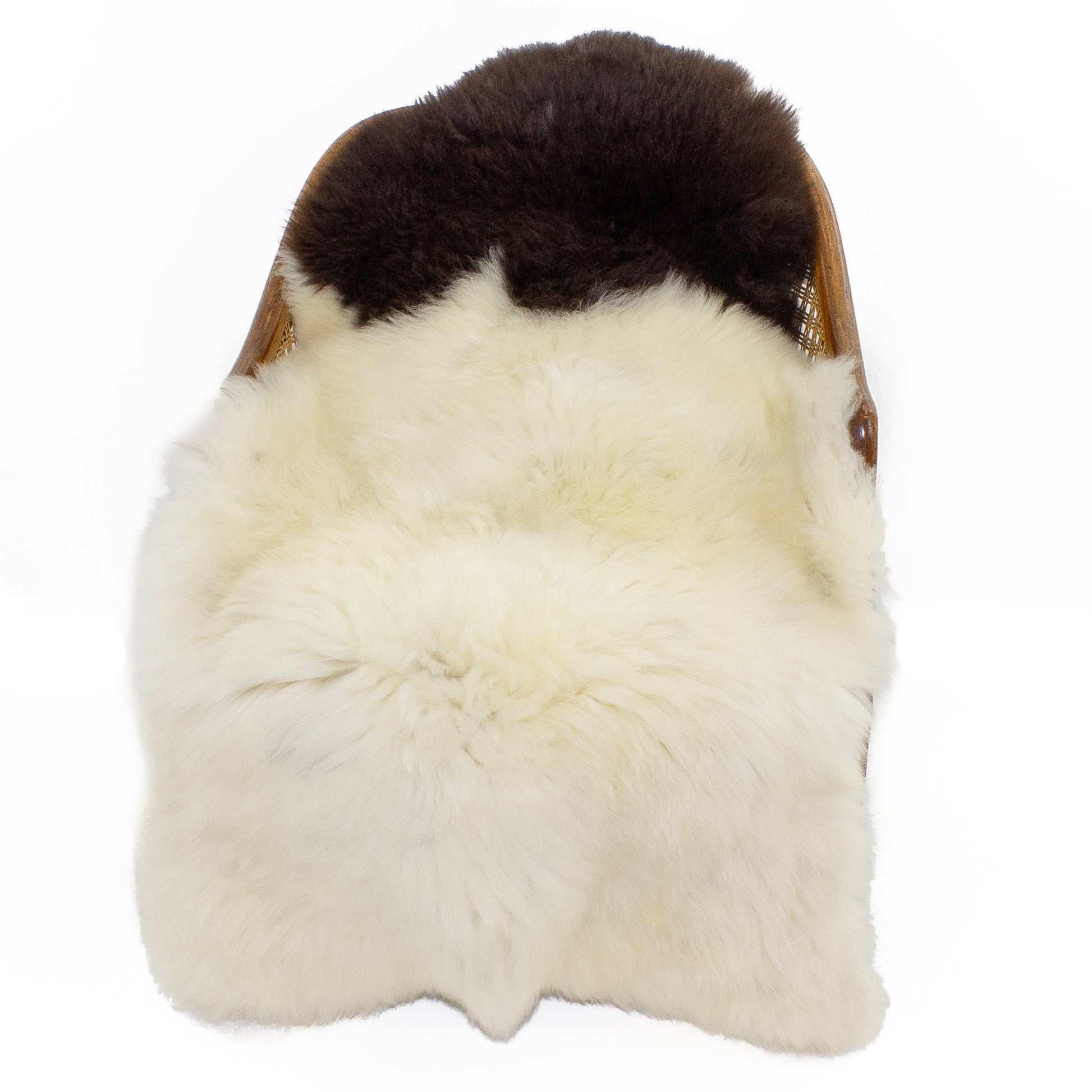 Large Soft Cushy White w Dark Piebald Swedish Sheepskin