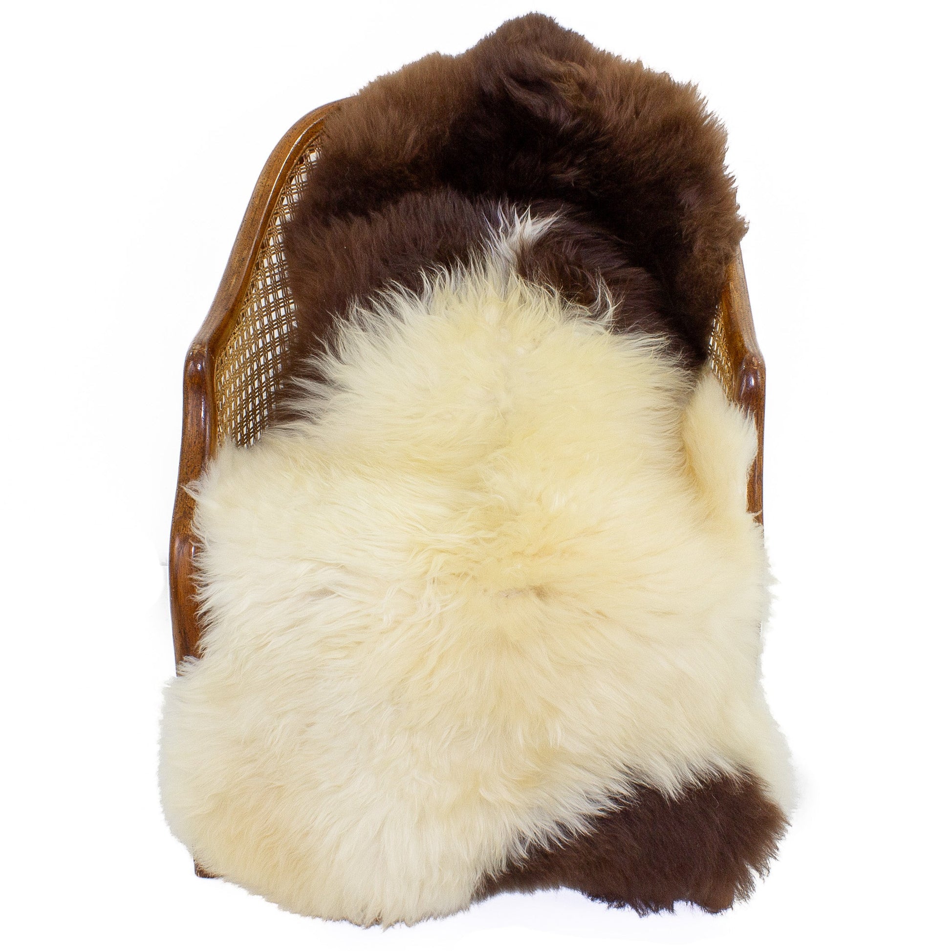 Large Soft Dark Ivory w Brown Swedish Sheepskin