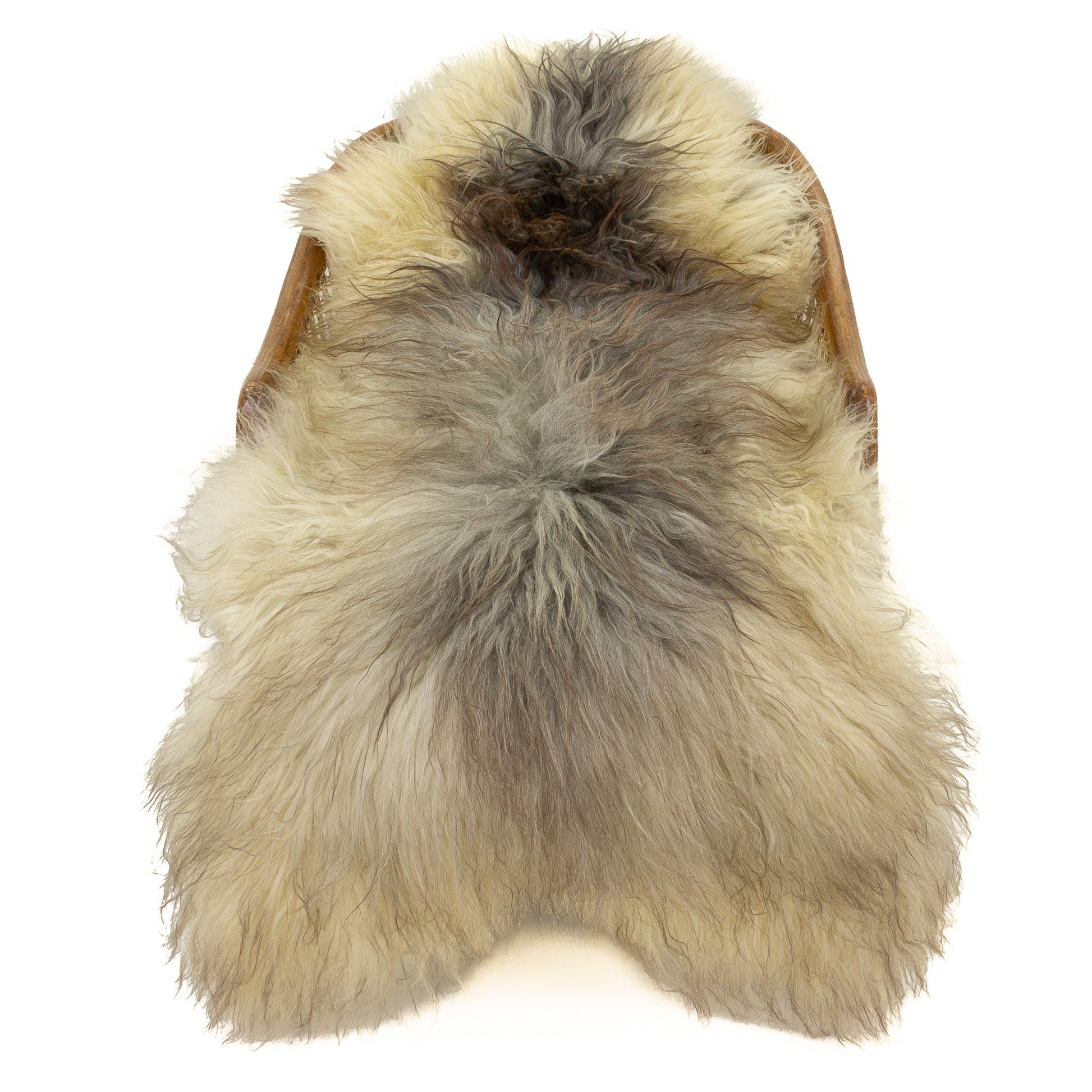 Soft Ivory w Gray Long Wool Swedish Sheepskin