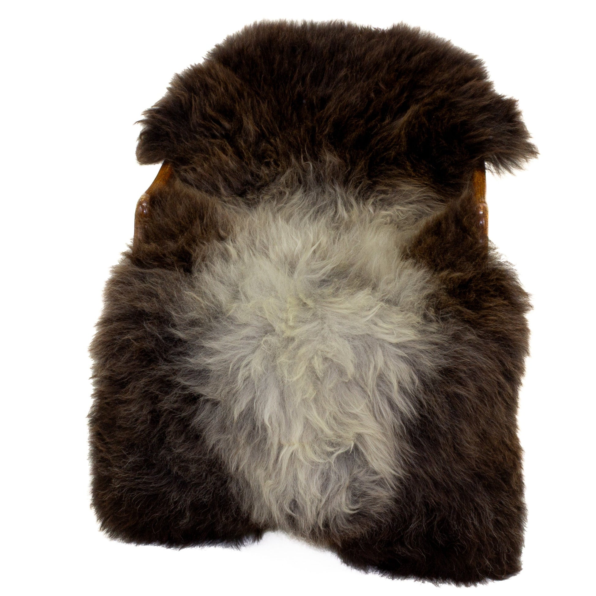 Large Soft Long Wool Dark Brown w Silver Sheepskin